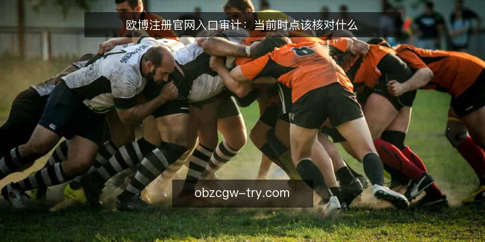 欧博注册官网入口审计：当前时点该核对什么 — 为何现在要审计注册入口 配图